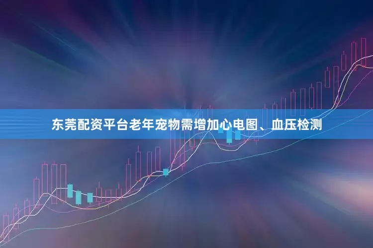 东莞配资平台老年宠物需增加心电图、血压检测